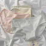 Women's Classic Mid Rise Plain Everyday Underwear Briefs - Image 6