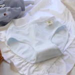 Women's Smooth Plain Briefs with Small Side Label