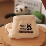 Women's Cute Panda Printed Everyday Underwear Briefs